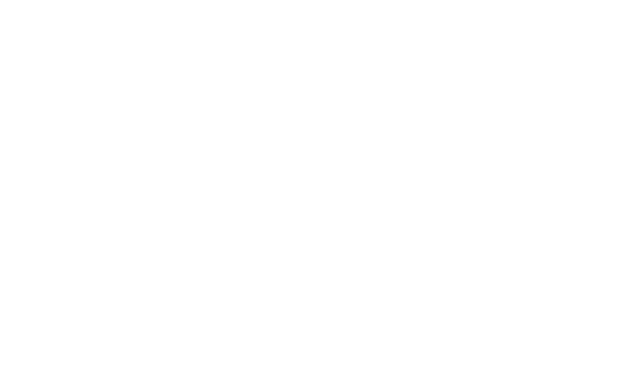 Zinzi Christmas Party